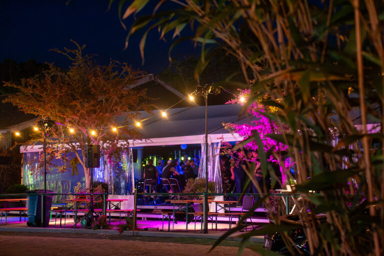 Professionele eventverlichting verzorgd door WL Special Effects